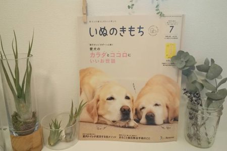 いぬのきもち7月号【成犬トイレトレーニング】